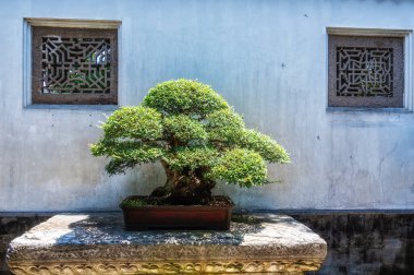 Kezhi Bahçesi, Şangay yakınlarında, doğu kanalı Zhujiajiao 'da bulunan antik bir Çin klasik bahçesi. Kasaba 1700 yılı aşkın bir geçmişe sahiptir ve Ming ve Qing hanedanı mimarisi ile ünlüdür..