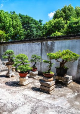 Kezhi Bahçesi, Şangay yakınlarında, doğu kanalı Zhujiajiao 'da bulunan antik bir Çin klasik bahçesi. Kasaba 1700 yılı aşkın bir geçmişe sahiptir ve Ming ve Qing hanedanı mimarisi ile ünlüdür..