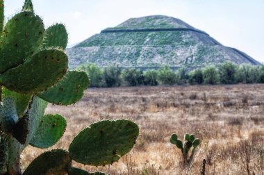 Teotihuacan 'daki güneş piramidi. Gökyüzüne bak. Seyahat fotoğrafı, arka plan, duvar kağıdı. Meksika.