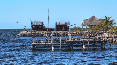 Palmiye ağaçları, rıhtım, Aguada Adası, Campeche Meksika sahilinde hayali bir tekne.