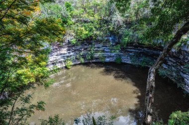 Cenote Sagrado (Kutsal Kuyu) Chichen Itza, Yucatan, Meksika