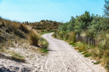 Hollanda 'daki Markerwadden Kuşlar ve Rekreasyon için yeni yapılmış bir doğa rezervi. Kuşlar için bir sürü göl ve dere ve Kuşlar için gözlem kuleleri var..