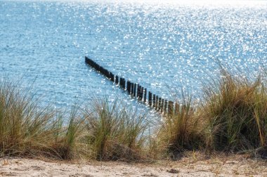Hollanda 'daki Markerwadden Kuşlar ve Rekreasyon için yeni yapılmış bir doğa rezervi. Kuşlar için bir sürü göl ve dere ve Kuşlar için gözlem kuleleri var..