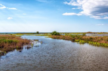 Hollanda 'daki Markerwadden Kuşlar ve Rekreasyon için yeni yapılmış bir doğa rezervi. Kuşlar için bir sürü göl ve dere ve Kuşlar için gözlem kuleleri var..
