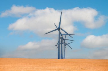 Hollanda, Enkhuizen yakınlarında sürdürülebilir enerji için Kara ve Deniz Yel Değirmenleri Grubu