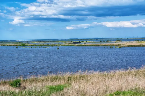 Hollanda 'daki Markerwadden Kuşlar ve Rekreasyon için yeni yapılmış bir doğa rezervi. Kuşlar için bir sürü göl ve dere ve Kuşlar için gözlem kuleleri var..