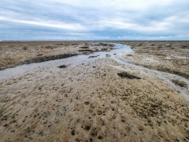 Hollanda, Schiermonnikoog yakınlarındaki Wadden Denizi 'nin alçak gelgitinde çamurlu düzlüklerde yürümek