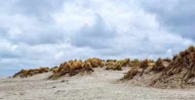Kuzey deniz kıyısındaki kum tepelerinin manzarası, Schiermonnikoog, Hollanda, Hollanda