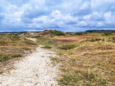 Çimenli kum tepelerinden geçerek bulutlu bir gökyüzünün altında uçsuz bucaksız Kuzey Denizi ufkuna giden yol baharda bozulmamış doğayı gözler önüne seriyor. Schiermonnikoog Ulusal Parkı, Hollanda, Avrupa 'da yakalandı.