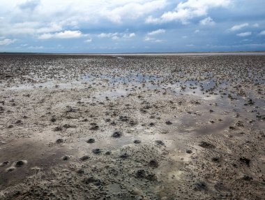 Hollanda, Schiermonnikoog yakınlarındaki Wadden Denizi 'nin alçak gelgitinde çamurlu düzlüklerde yürümek