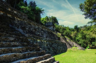 Unesco 'nun dünya mirası Palenque, Chiapas, Meksika' daki Maya harabeleri.