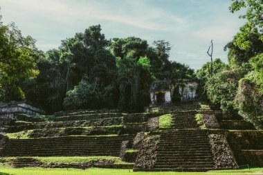 Kafatası Tapınağı, Antik Maya Harabeleri, Palenque, Meksika