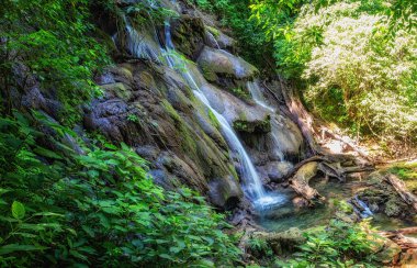 Palenque, Chiapas, Meksika 'daki harabeler ve ormanlar