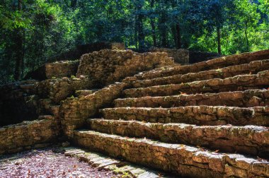 Palenque, Palenque Ulusal Parkı, Chiapas, Meksika 'daki Maya şehrinin kalıntıları. UNESCO Dünya Mirası Alanı.