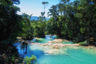 Meksika 'nın Palenque kenti yakınlarında yüzme havuzu olarak kullanılan Chiapas yağmur ormanlarındaki Agua Azul şelaleleri ve şelalelerinin turkuaz suları.