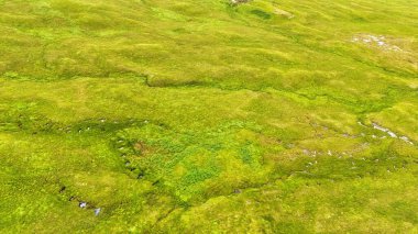 İskoçya, Tulla Gölü yakınlarındaki Highland doğa sahnesi