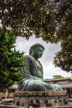 Kamakura Büyük Buda, Kamakura, Kanagawa ili 'nde bulunan bir heykeldir. Tokyo, Japonya yakınlarındaki turistler için önemli ve popüler. Kanagawa, Japonya.