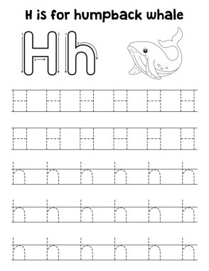 Bir Kambur Balina 'nın sevimli ve komik bir iz sürme sayfası. Çocuklara saatlerce eğlence takibi sağlıyor. Takip etmek için, bu sayfa çok kolay. Küçük çocuklar ve yeni yürümeye başlayanlar için uygun..