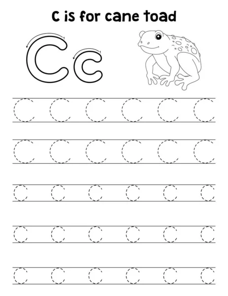 Cute Funny Tracing Page Cane Toad Provides Hours Tracing Fun — Stock Vector