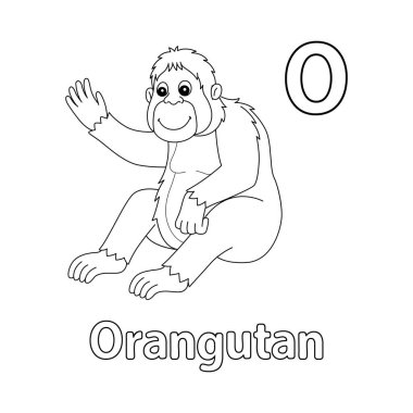 Bu ABC vektör resmi bir Orangutan Hayvan Boyama sayfasını gösterir. Beyaz bir arka planda izole edilmiştir. Çocuklar ve ilkokul öğrencilerinin alfabeyi ve harfleri öğrenmesi için mükemmel..