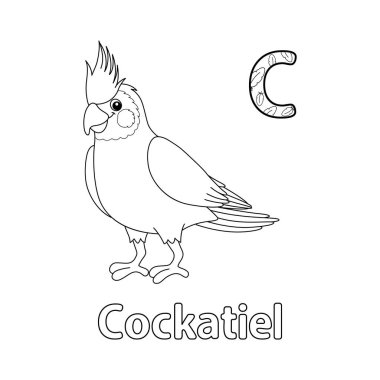 This ABC vector image shows a Cockatiel Animal coloring page. It is isolated on a white background. Perfect for children and elementary school students to learn the alphabet and all its letters. clipart