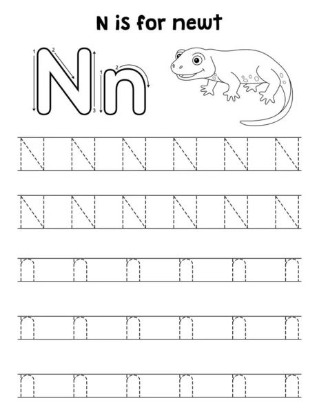 Newt 의귀엽고 재미있는 페이지 자녀들에게 재미있는 시간을 수있다 페이지는 쉽습니다 — 스톡 벡터