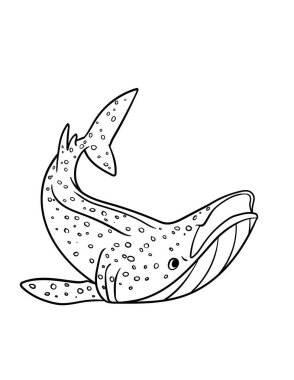 Balina Köpekbalığının şirin ve komik renkli bir sayfası. Çocuklar için saatlerce boyama eğlencesi sağlıyor. Renk, bu sayfa çok kolay. Küçük çocuklar ve yeni yürümeye başlayanlar için uygun..