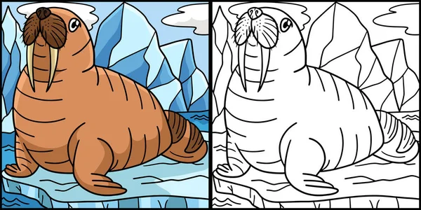 Halaman Mewarnai Ini Menunjukkan Sebuah Walrus Salah Satu Sisi Ilustrasi - Stok Vektor
