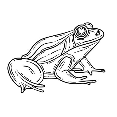 A cute and beautiful coloring page of a frog. Provides hours of coloring fun for adults.