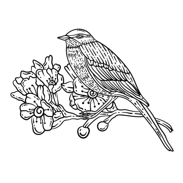 Cute Beautiful Coloring Page Bird Branch Wood Spring Provides Hours — Stockvector
