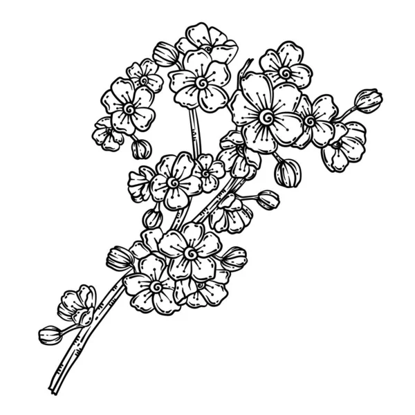 Kiraz çiçeklerinin şirin ve güzel renkli bir sayfası. Yetişkinlere saatlerce boyama eğlencesi sağlar.