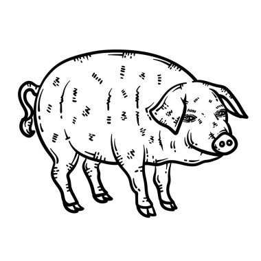Bir domuz hayvanının şirin ve güzel bir boyama sayfası. Yetişkinlere saatlerce boyama eğlencesi sağlar.