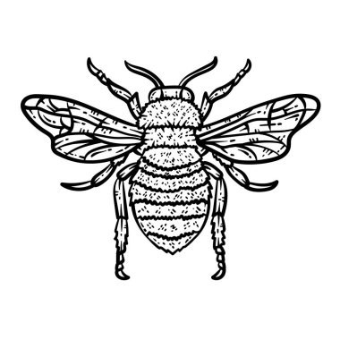 Bir Arı Hayvanı 'nın şirin ve güzel bir boyama sayfası. Yetişkinlere saatlerce boyama eğlencesi sağlar.