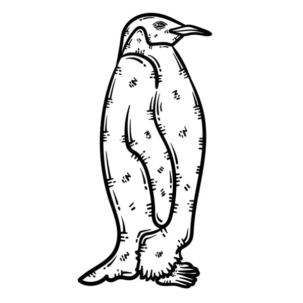 Söt Och Vacker Färg Sida Pingvin Djur Ger Timmar Färg — Stock vektor