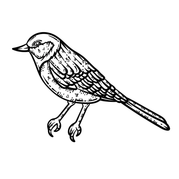 Une Page Colorier Mignonne Belle Animal Oiseau Fournit Des Heures — Image vectorielle