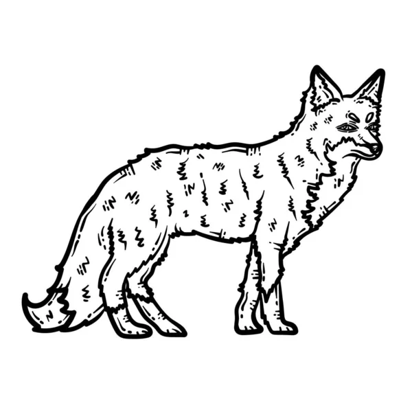 Söpö Kaunis Väritys Sivu Fox Animal Tarjoaa Tuntia Väritys Hauskaa — vektorikuva