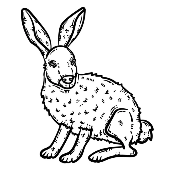 Une Page Colorier Mignonne Belle Animal Lapin Fournit Des Heures — Image vectorielle