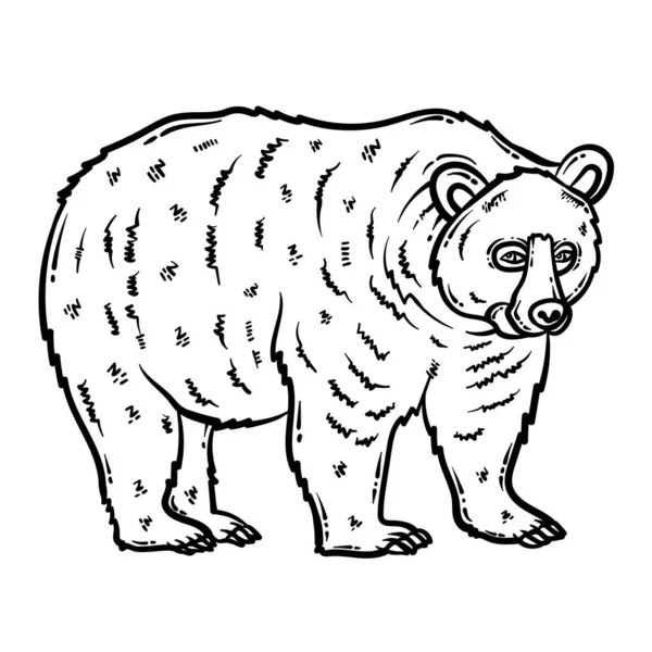 Roztomilé Krásné Omalovánky Medvědího Zvířete Poskytuje Hodiny Omalovánky Zábavy Pro — Stockový vektor
