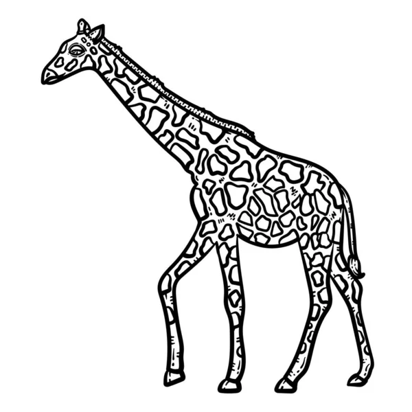 Roztomilé Krásné Zbarvení Stránky Žirafy Zvířat Poskytuje Hodiny Omalovánky Zábavy — Stockový vektor