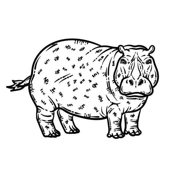 Μια Χαριτωμένη Και Όμορφη Σελίδα Χρωματισμού Ενός Hippo Animal Παρέχει — Διανυσματικό Αρχείο