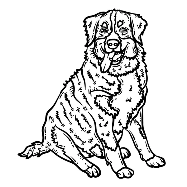 一个可爱美丽的彩色页面的狗动物 为成年人提供几个小时的彩色娱乐 — 图库矢量图片