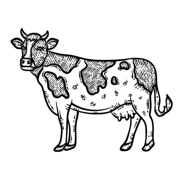 Uma Página Colorir Bonito Bonito Animal Vaca Fornece Horas Diversão — Vetor de Stock