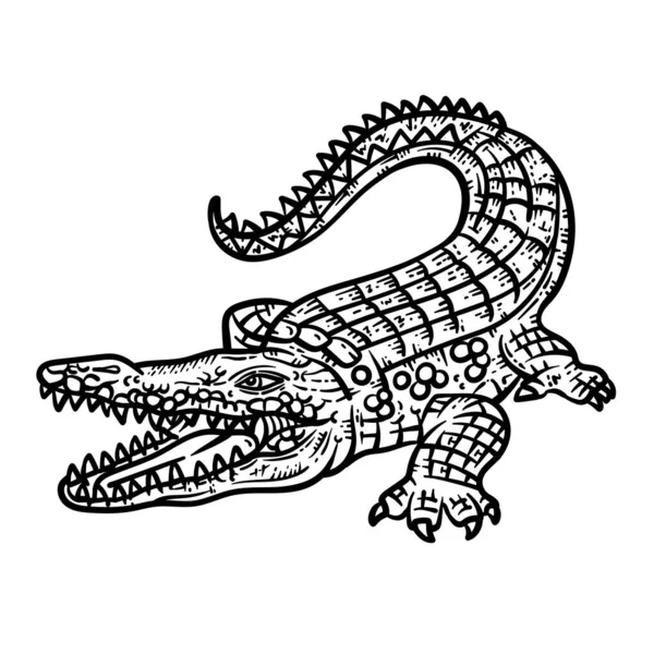 Симпатичная Красивая Раскраска Страницы Крокодилового Анималя Обеспечивает Часы Раскраски Веселья — стоковый вектор