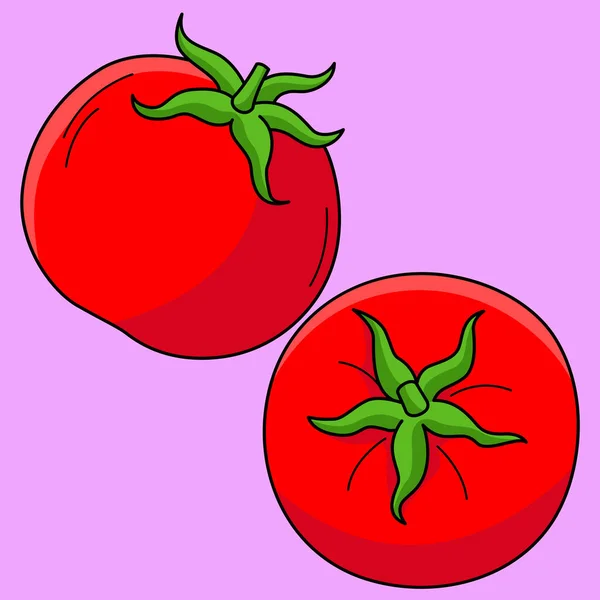 这个卡通片部分展示了一个番茄水果的图解 — 图库矢量图片