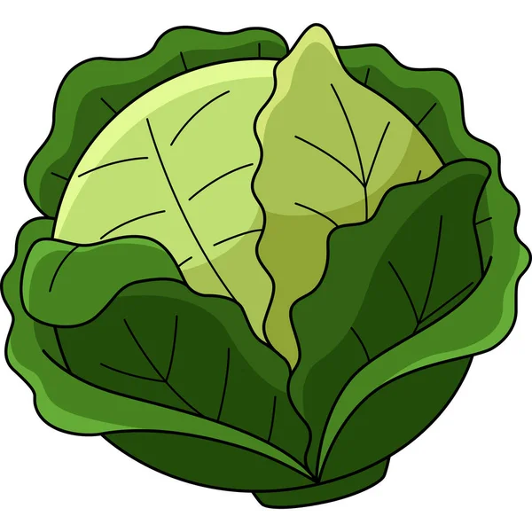 Cartoon Clipart Shows Cabbage Vegetable Illustration — Stock Vector