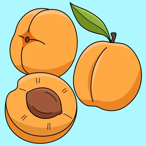 Questa Clipart Cartone Animato Mostra Illustrazione Frutta Albicocca — Vettoriale Stock