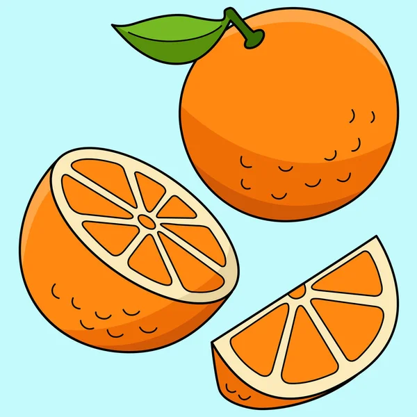 这个卡通片部分展示了一个橙色水果的图解 — 图库矢量图片