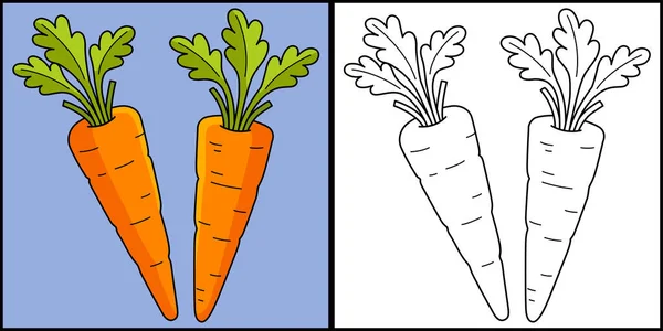 Halaman Warna Ini Menunjukkan Carrots Vegetable Salah Satu Sisi Ilustrasi - Stok Vektor