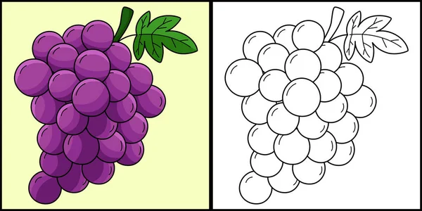 この着色ページにはブドウ果実が表示されます このイラストの片側は着色されており 子供のためのインスピレーションとして機能します — ストックベクタ