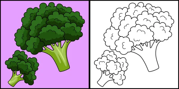 Diese Malseite Zeigt Ein Brokkoli Gemüse Eine Seite Dieser Illustration — Stockvektor